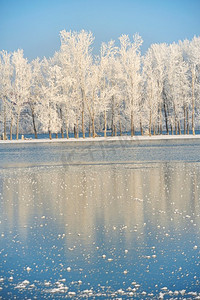 多瑙河摄影照片_多瑙河上被霜冻覆盖的冬树