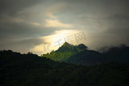 泰国热带森林景观
