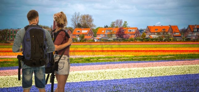 一名男子与一名女子在荷兰的郁金香领域旅行