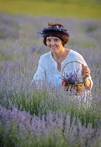 美丽的女人拿着熏衣草在日落领域。美丽的女人拿着熏衣草在篮子
