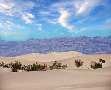 美国加利福尼亚州死亡谷国家公园的梅斯基特沙丘。