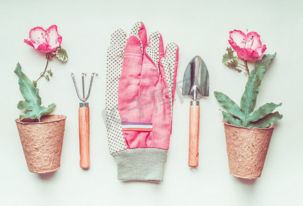 图平铺摄影照片_园艺工具设置布局，植物，花盆和粉色手套，俯视，平铺