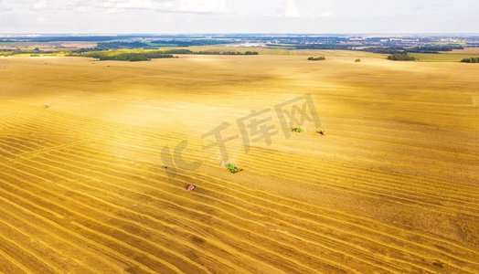 收割机在田间作业。联合收割机农机收获金黄成熟的麦田。农业。从上面俯瞰。