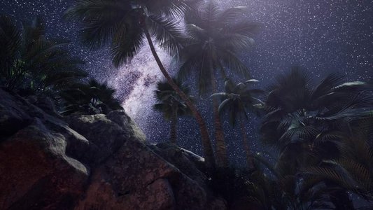 4K超压缩天体摄影术恒星在砂岩峡谷壁和棕榈树上的轨迹。砂岩峡谷壁和棕榈树上的4K超压缩星迹