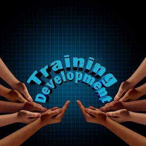 培训和发展小组作为团队的手走到一起，支持培训和教育与3D插图元素。