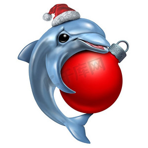 圣诞装饰球摄影照片_可爱的圣诞海豚手持冬季庆祝圣诞装饰球，作为一只快乐的节日海洋哺乳动物，带有3D插图元素。