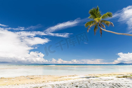 印度洋摄影照片_旅游，海景和自然概念-塞舌尔印度洋上的岛屿海滩。印度洋上塞舌尔的岛屿海滩