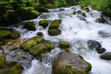 森林小溪摄影照片_山里有流水的小溪