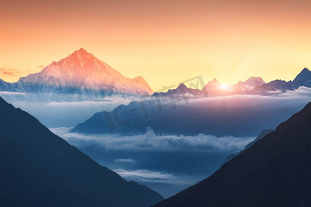 夕阳森林摄影照片_自然、喜马拉雅、风景、日出