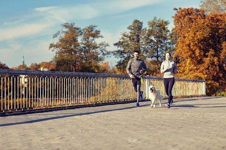 健身、体育、人和生活方式概念-与狗跑的愉快的夫妇户外快乐的夫妇与狗跑户外