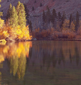 内华达山脉的美景。秋叶景观。美国加利福尼亚州。