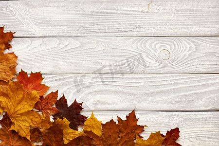 质感复古质朴的木质背景，秋日黄叶