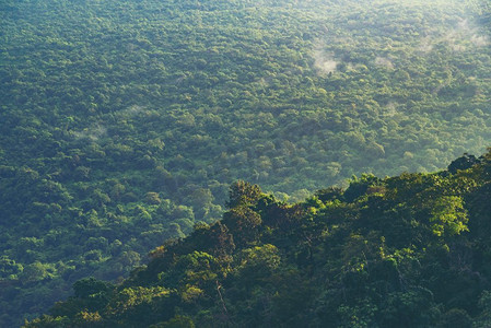 丛林摄影照片_泰国Kao Yai热带森林景观，自然图像，用于背景或墙纸
