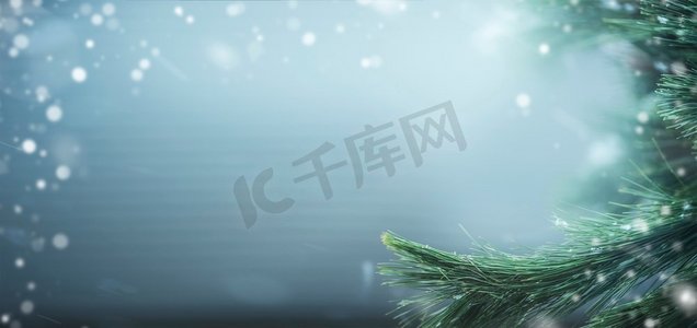 寒假展架摄影照片_美丽的冬季旗帜以松枝和雪为背景。寒假和圣诞节的概念