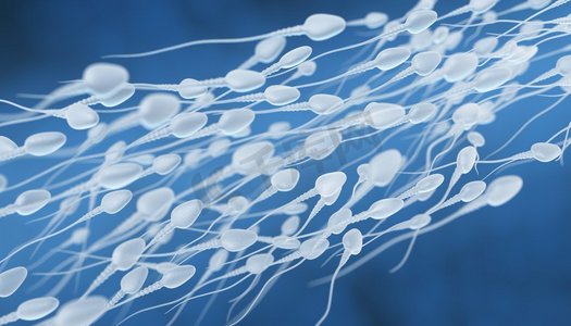 人类精子流动。精子走向卵子的3D插图