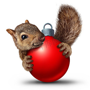 圣诞可爱的松鼠与圣诞节日球装饰物作为冬季庆祝的象征，白色背景与3D渲染元素。