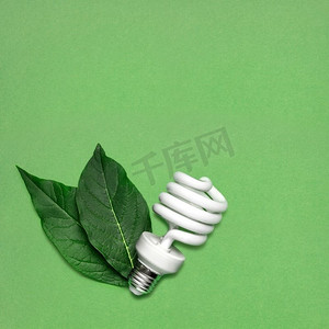 创造性的静物节能灯泡与树叶作为环保的象征。