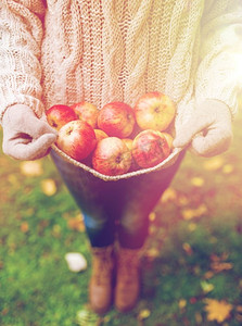 拿着苹果摄影照片_耕种、园艺、收获和人的概念-秋园里拿着苹果的女人。秋日花园里拿着苹果的女人
