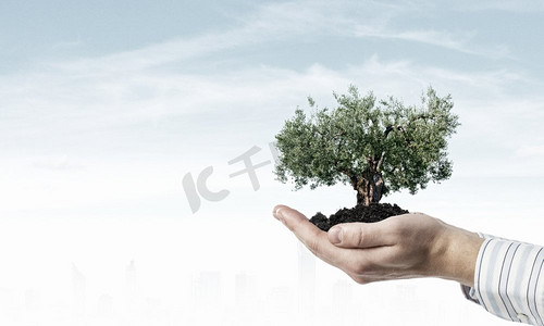 绿色生命保护。人类牵手关爱绿树所代表的生态观