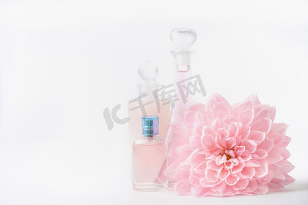 化妆品和香水瓶，白色背景，粉色淡花朵，正视。美容护肤理念
