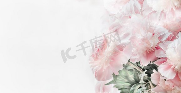 粉色、牡丹、花卉、相框