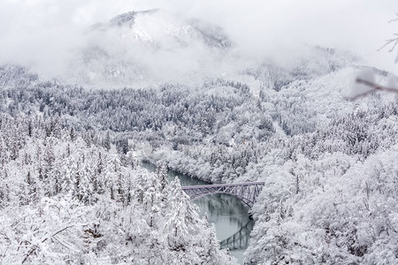 冬季景观积雪覆盖树木，火车过河过桥