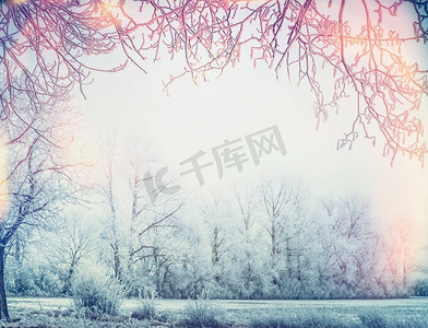 天空和树枝摄影照片_美丽的冬季乡村风景，雪树和树枝的框架