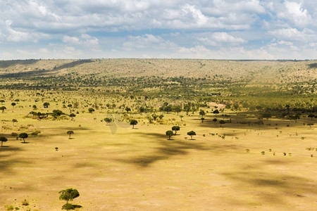 自然、景观和野生动物概念-非洲马赛马拉国家级自然保护区稀树草原观点。非洲马赛马拉国家级自然保护区稀树草原