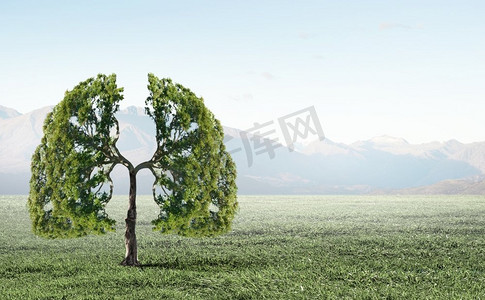 由于空气污染。绿树形似人肺的概念形象