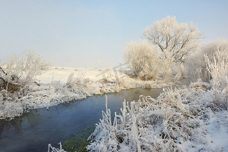 下雪乡村摄影照片_乡村河流上结霜的冬树