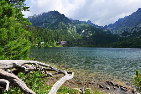 绿色树林河水摄影照片_浅浅的河水流过石头。山地景观