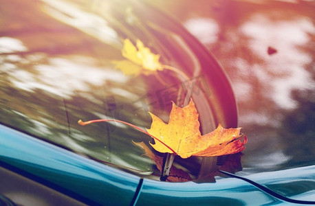 季节和交通概念-挡风玻璃上有秋季枫叶的汽车雨刷特写。秋叶汽车雨刷特写