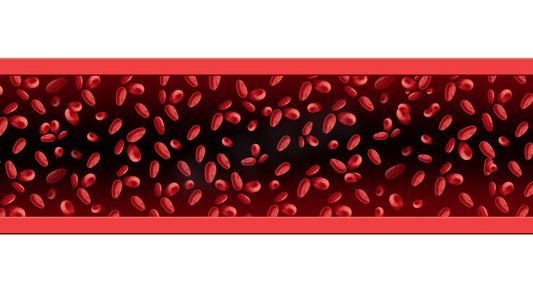 心脏血液摄影照片_作为流动的微观血红蛋白流体的红血细胞循环作为人体解剖学医学概念作为在白色隔绝的3D翻译