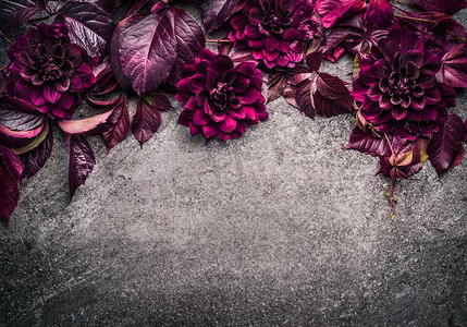 边框装饰叶子摄影照片_深紫色花卉边框，灰色背景上有花、花瓣和叶子，俯视，文字放置