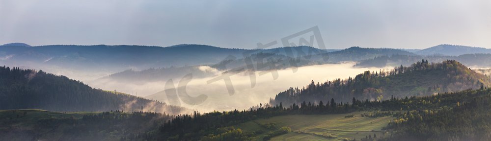 春山全景。早晨山上雾蒙蒙的森林