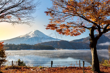 富士摄影照片_晨日出山富士在秋季在河口湖或河口湖在富士河口湖日本
