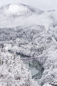 冬季景观积雪覆盖树木，火车过河过桥