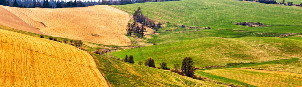 春天的山野和草地景观。春天的斯洛伐克塔特拉斯山脉全景。