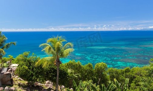 旅行，风景和自然概念-视图对印度洋从海岛与棕榈树。鉴于印度洋从岛上的棕榈树
