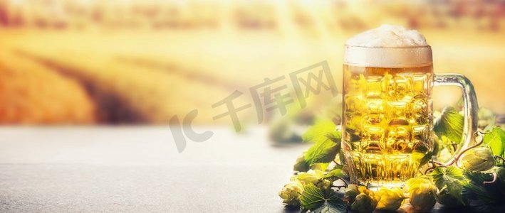 桌子上有一杯带泡沫的啤酒，在野外自然背景下有啤酒花，有阳光，正视风景，横幅