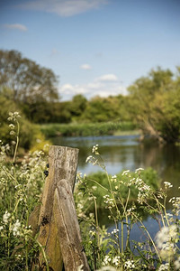 景深浅的美丽的英国乡村河流景观