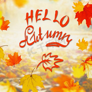 落叶设计摄影照片_秋天晴天彩色落叶，文字写着你好秋天，户外秋天自然背景，相框