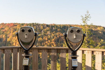 两个投币式双筒望远镜，俯瞰森林景色