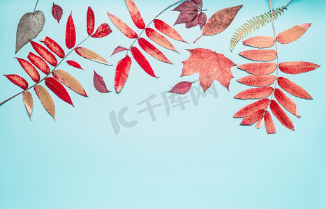 边框秋天摄影照片_美丽的秋天季节构图或边框，用各种五颜六色的秋叶在青绿色的背景上，俯视，边框