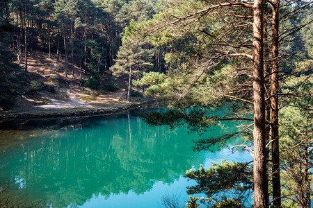 植物湖水风景摄影照片_古老的粘土矿坑采石场湖的美丽风景形象，有着不同寻常的颜色的绿水
