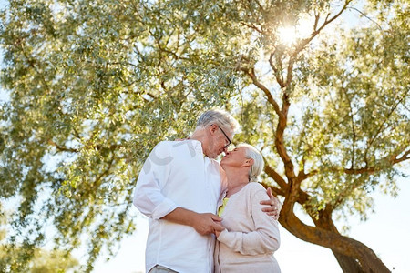 老年、爱和人概念-在夏天公园用鼻子爱抚的愉快的资深夫妇。快乐的高级夫妇接吻在夏天公园