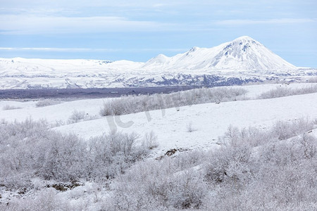 冰岛冬季风景冬季景观与冰雪覆盖的树木在Dimmuborgir湖Myvatn，冰岛
