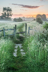 令人惊叹的充满活力的夏季日出在英国乡村景观 