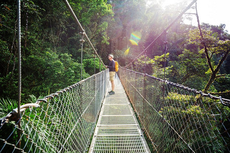徒步旅行在绿色的热带丛林，哥斯达黎加，中美洲