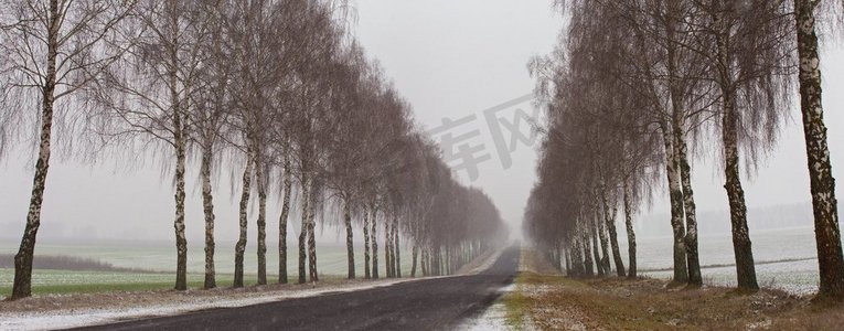 背景雪天摄影照片_冬季降雪中空荡荡的道路全景。环绕高速公路的桦树巷透视。雪天景象